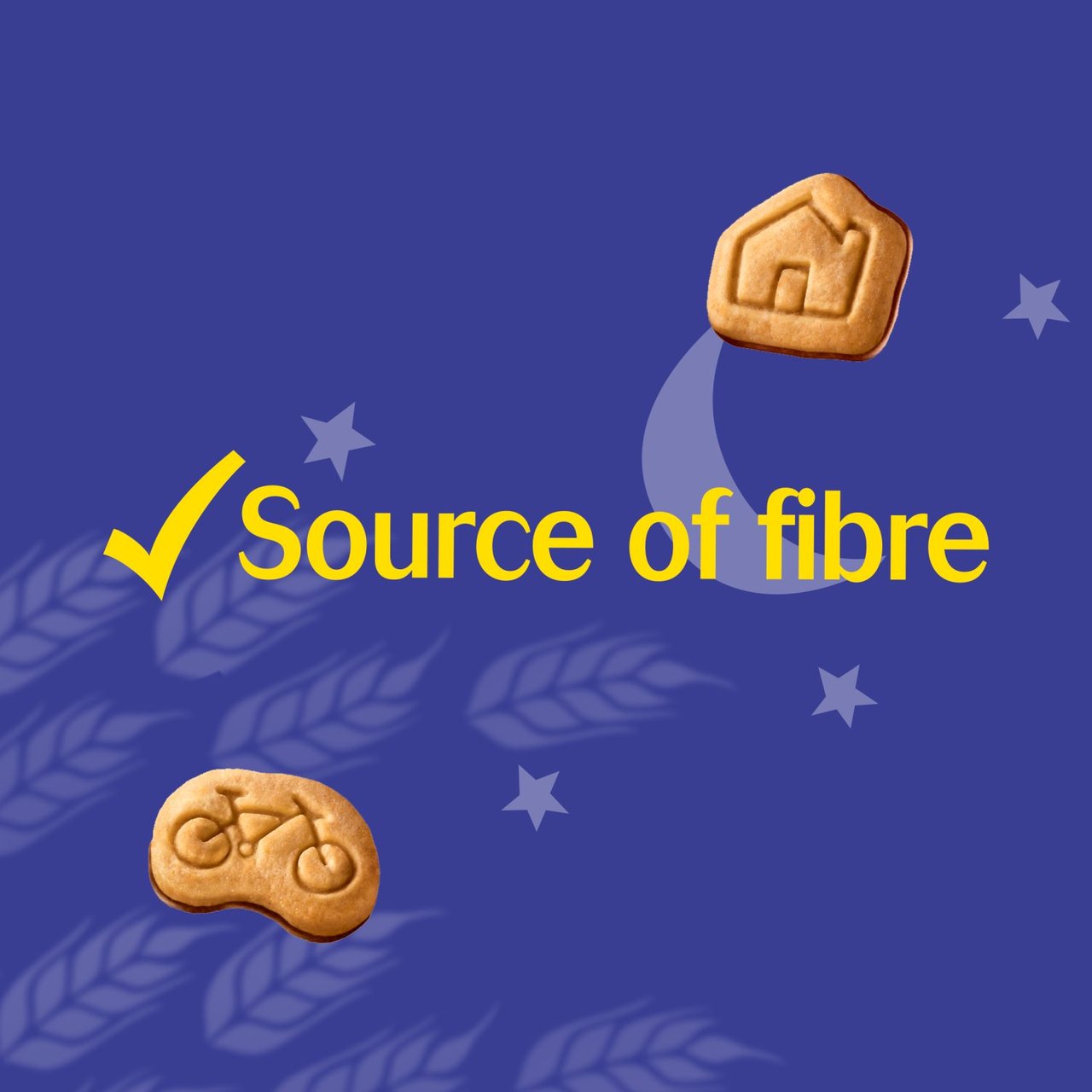 McVitie's Mini Chocolate Digestives 6 x 19g