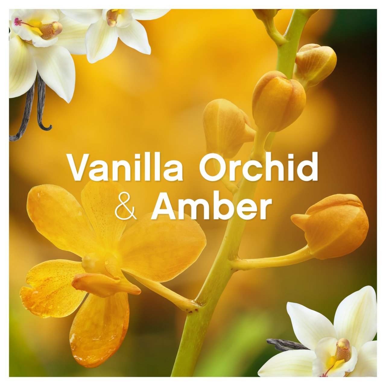 Lenor Fabric Conditioner Gold Orchid 26 Washes 858m