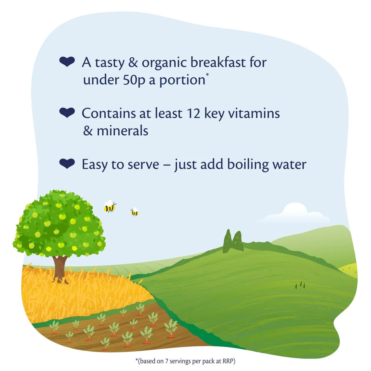Hipp Organic Banana And Plum Porridge