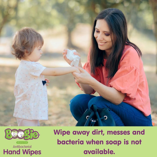 Boogie Antibacterial Hand Wipes by Boogie, Alcohol Free, Hypoallergenic and Moisturizing Aloe, for Kids and Adults -100