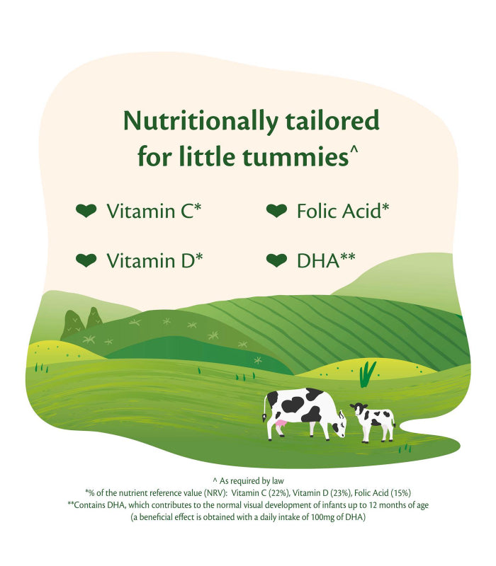 HiPP Organic 2 Follow on Baby Milk Powder Formula From 6 Months 800g