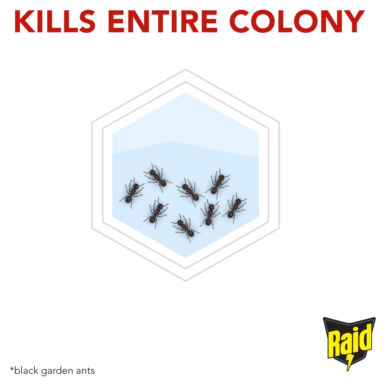 Raid Ant Bait Station