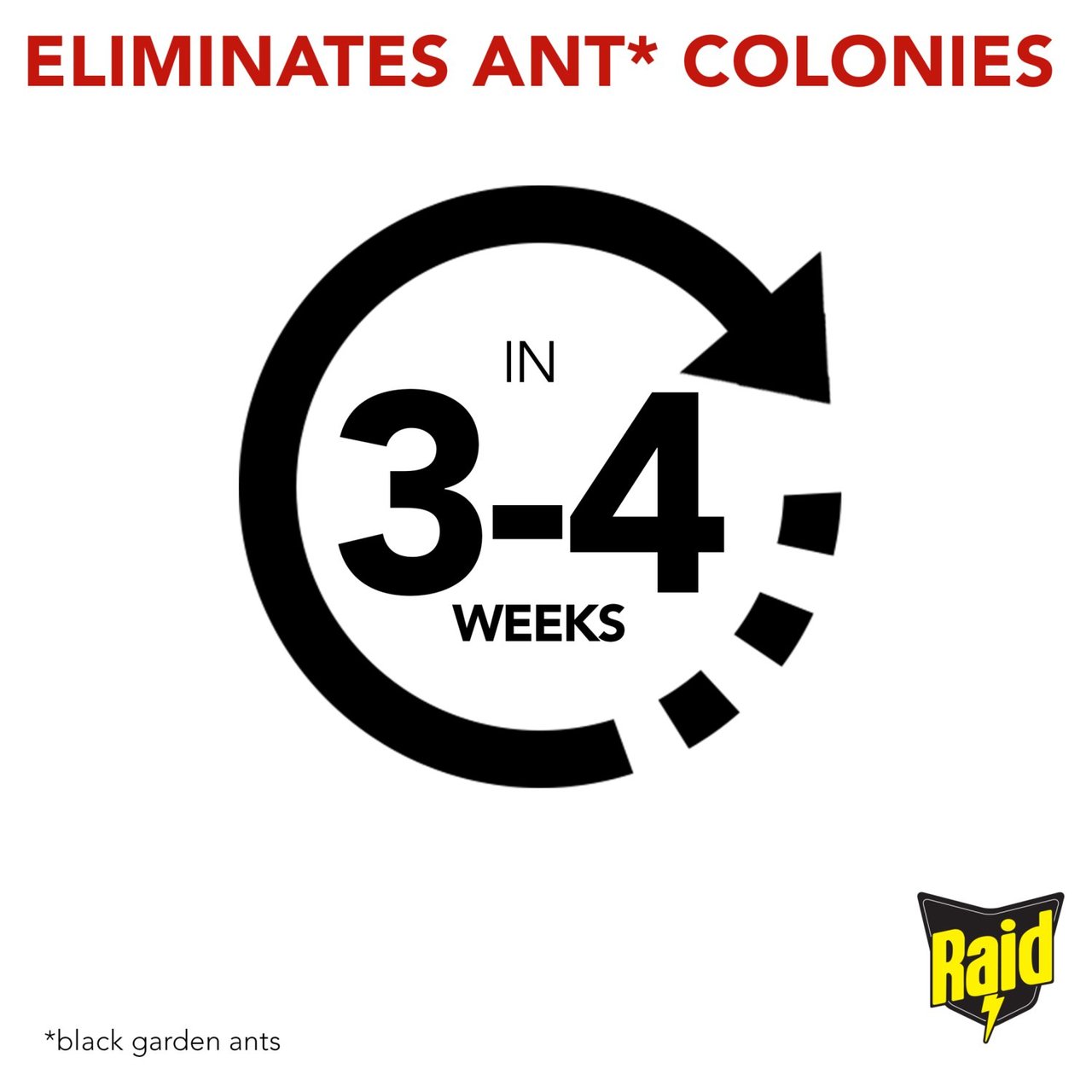Raid Ant Bait Station