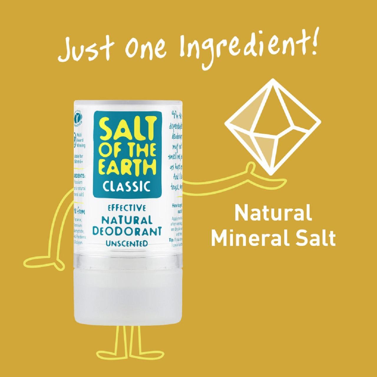 Salt of the Earth Classic Natural Deodorant 90g