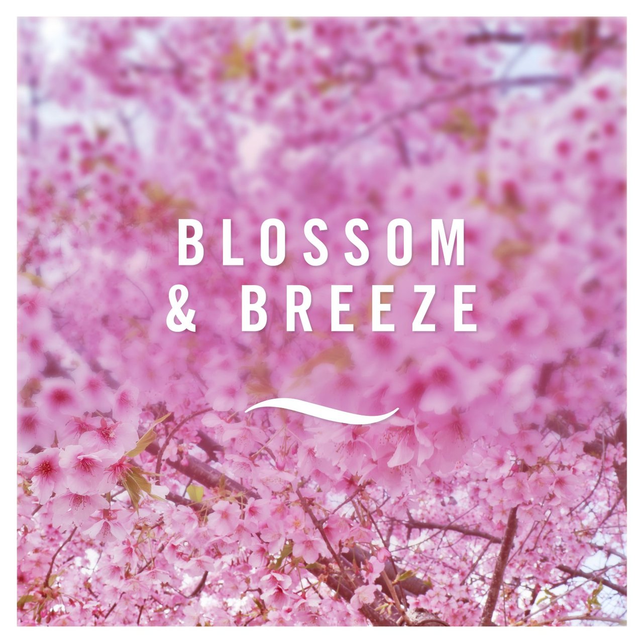 Febreze Blossom & Breeze Fabric Refresher 375ml