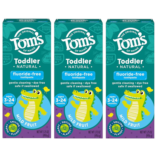 Tom’s of Maine Fluoride-Free Toddler Training Toothpaste – Mild Fruit (1.75 oz)